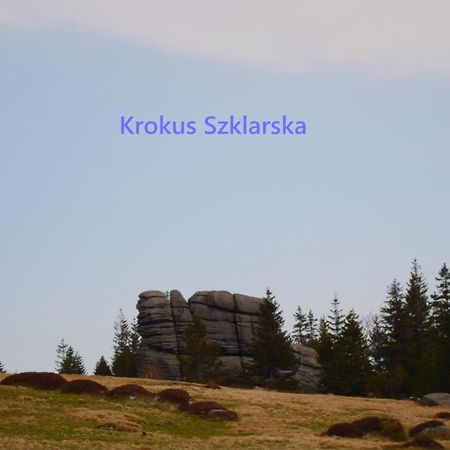 Apartament Krokus Szklarska Szklarska Poręba Kültér fotó