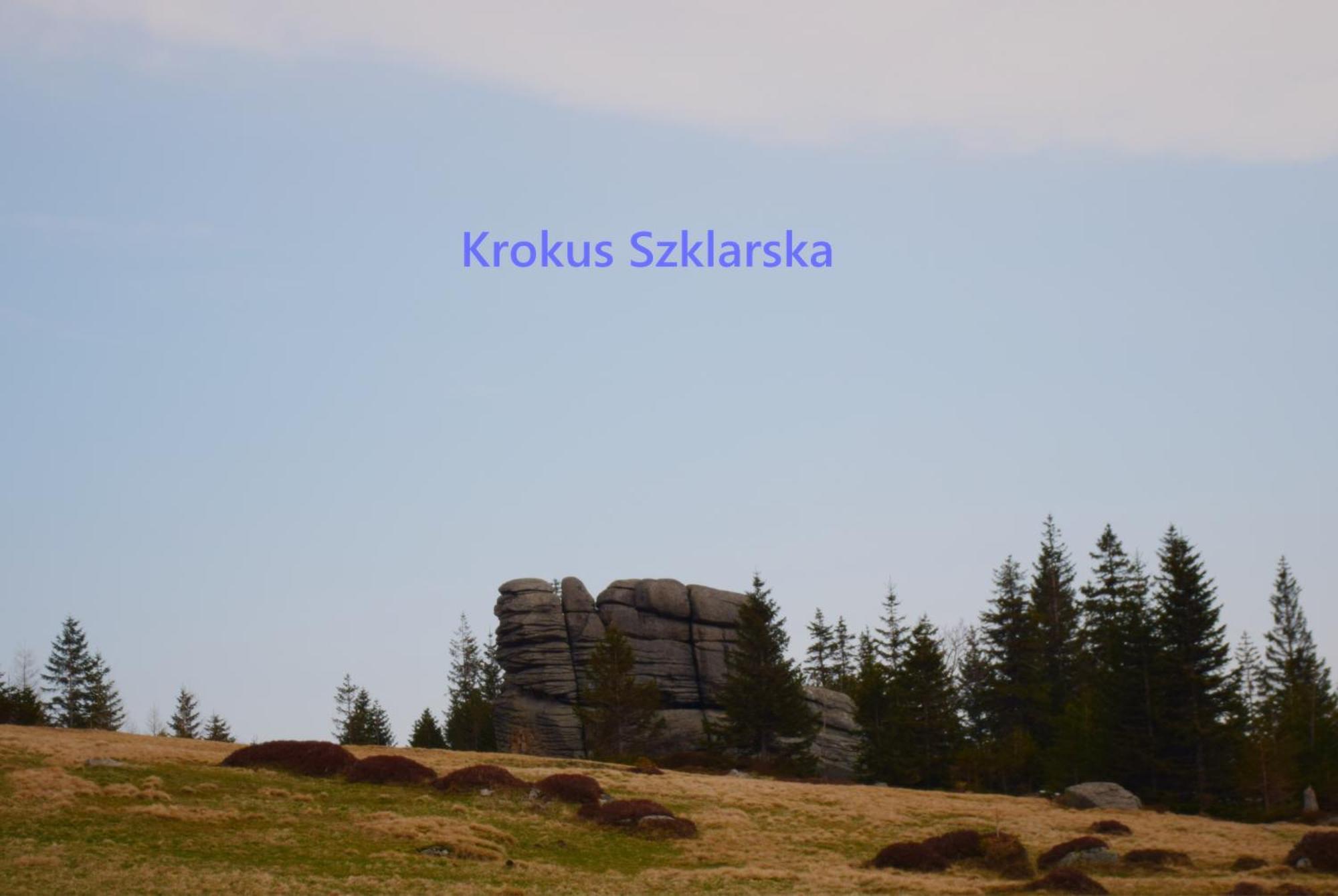 Apartament Krokus Szklarska Szklarska Poręba Kültér fotó