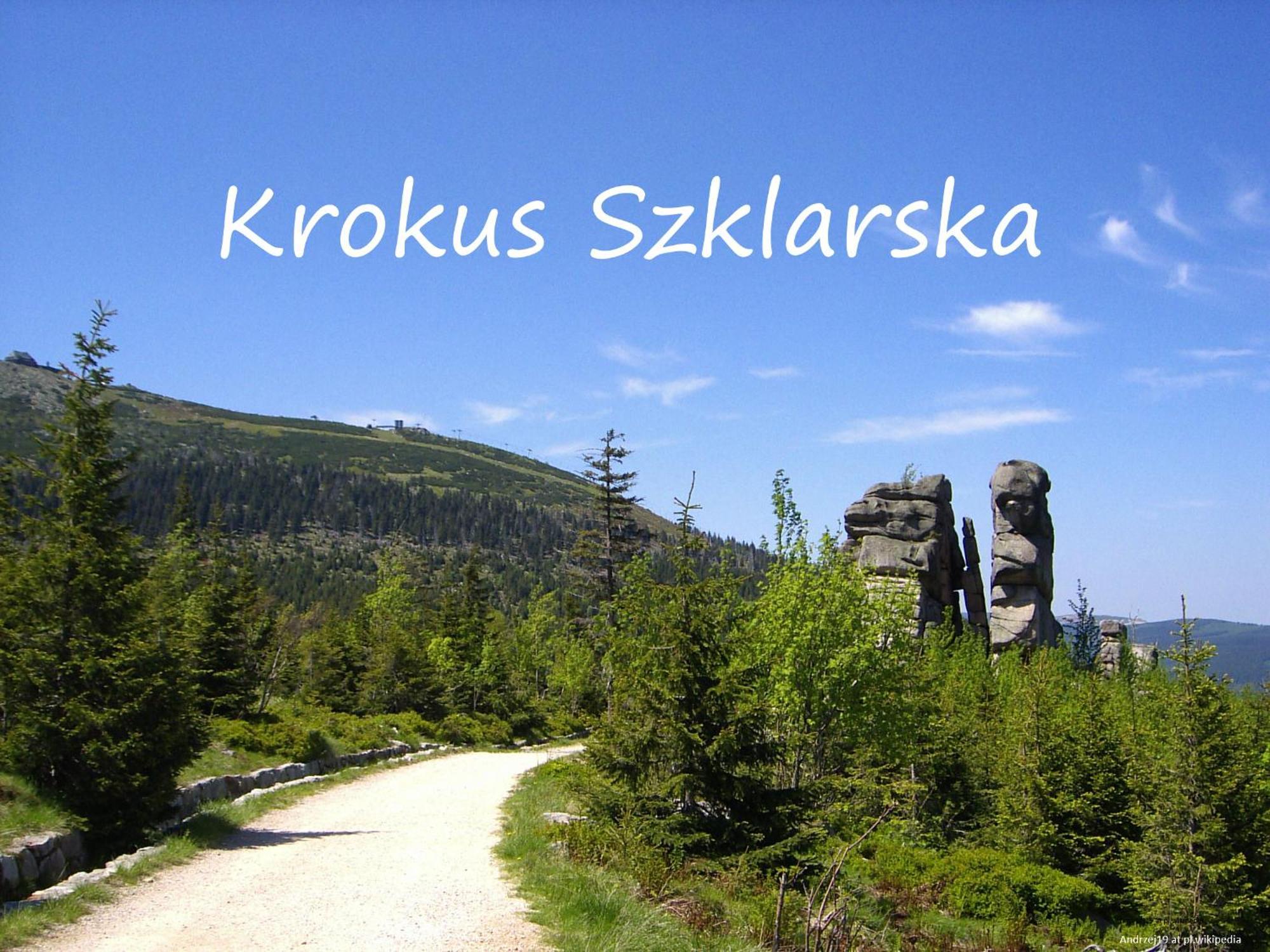 Apartament Krokus Szklarska Szklarska Poręba Kültér fotó